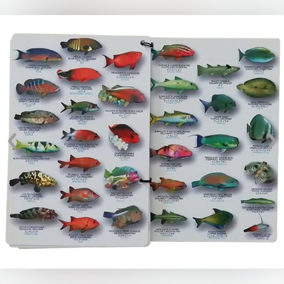 Submersible pocket fish guide-Fish of Tahiti - Picture 5 of 9